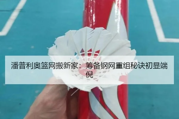 潘普利奥篮网搬新家：筹备钢网重组秘诀初显端倪 - k1sports